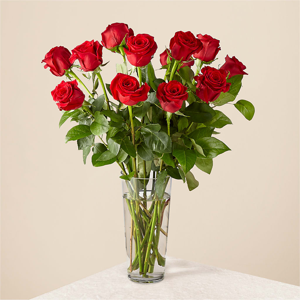 Long Stem Red Rose Bouquet – EAST MAIN GARDENS FLRST & GREENHSES INC, Niles MI