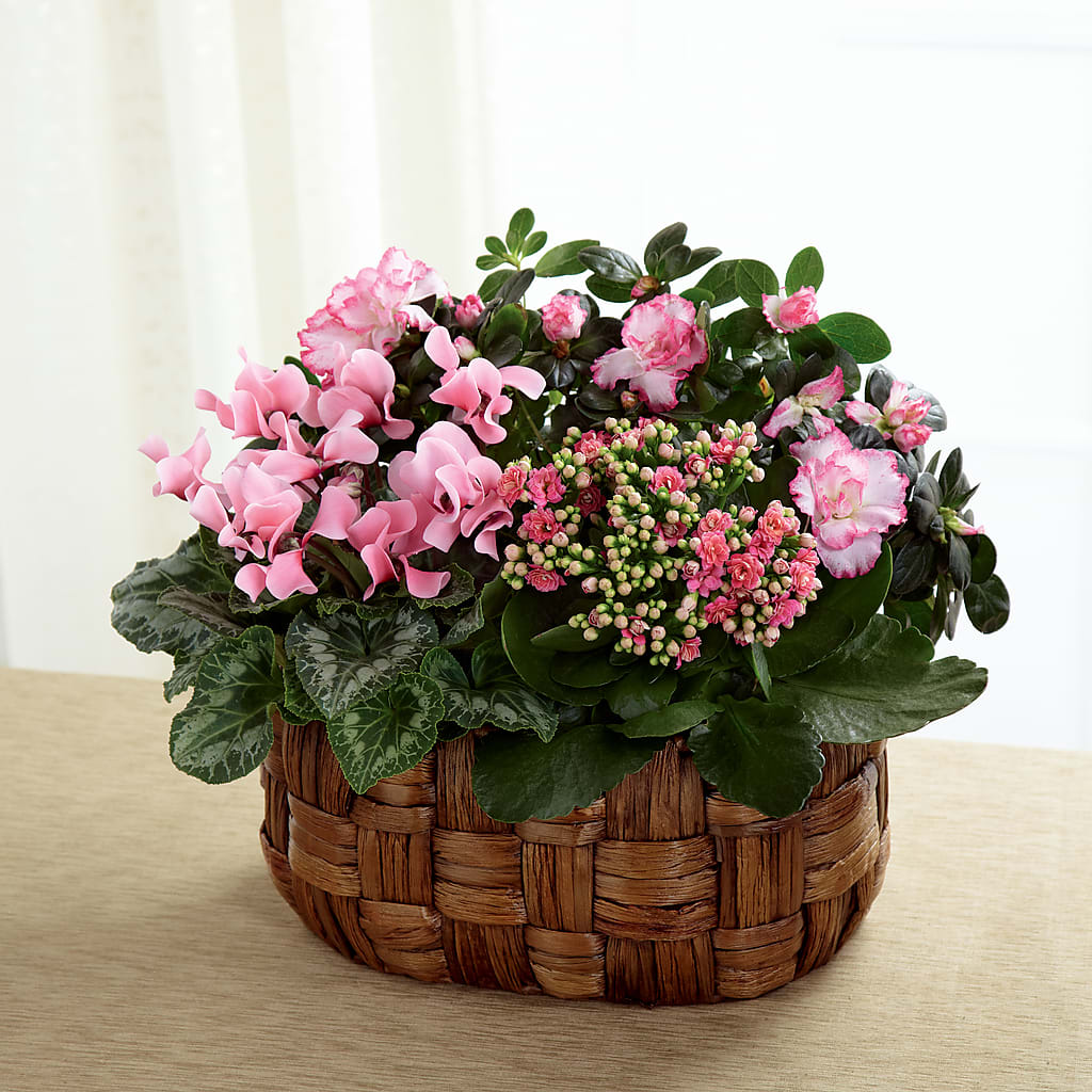 Pink Assortment – EAST MAIN GARDENS FLRST & GREENHSES INC, Niles MI