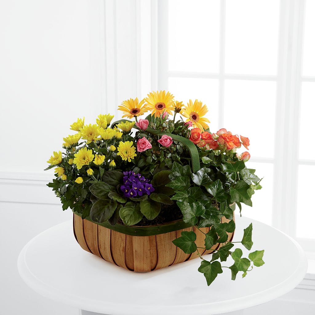 Gentle Blossoms Basket – EAST MAIN GARDENS FLRST & GREENHSES INC, Niles MI