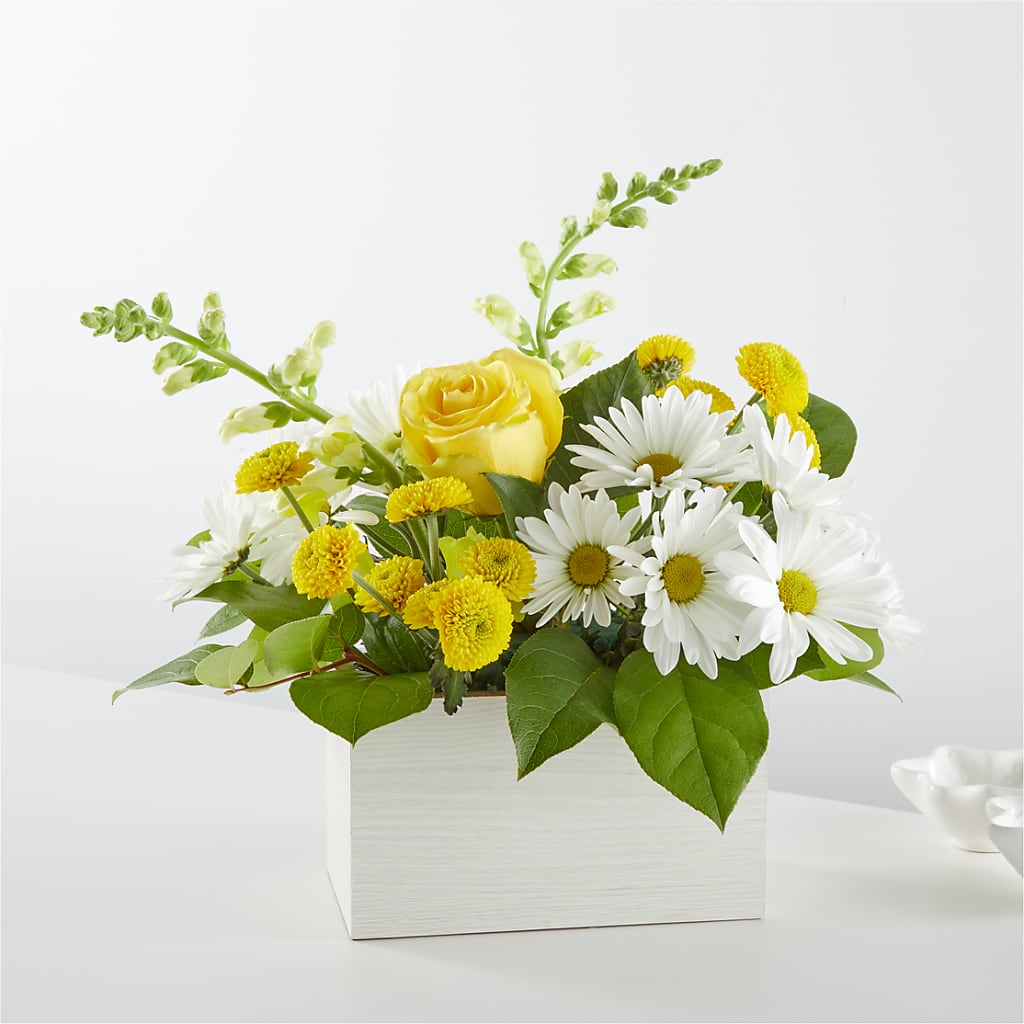 Sun Salutation Box Bouquet – EAST MAIN GARDENS FLRST & GREENHSES INC, Niles MI