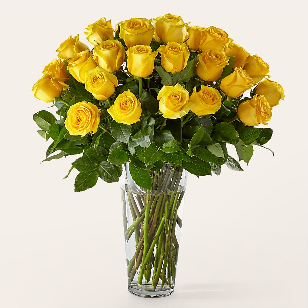 Long Stem Yellow Rose Bouquet – EAST MAIN GARDENS FLRST & GREENHSES INC, Niles MI