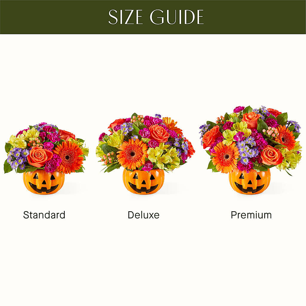 Tricks & Treats Pumpkin – EAST MAIN GARDENS FLRST & GREENHSES INC, Niles MI