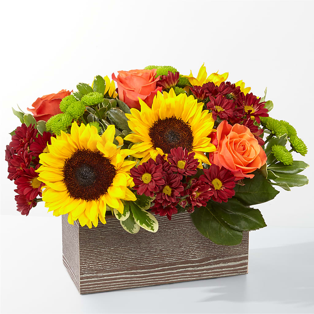 Happy Harvest Garden – EAST MAIN GARDENS FLRST & GREENHSES INC, Niles MI
