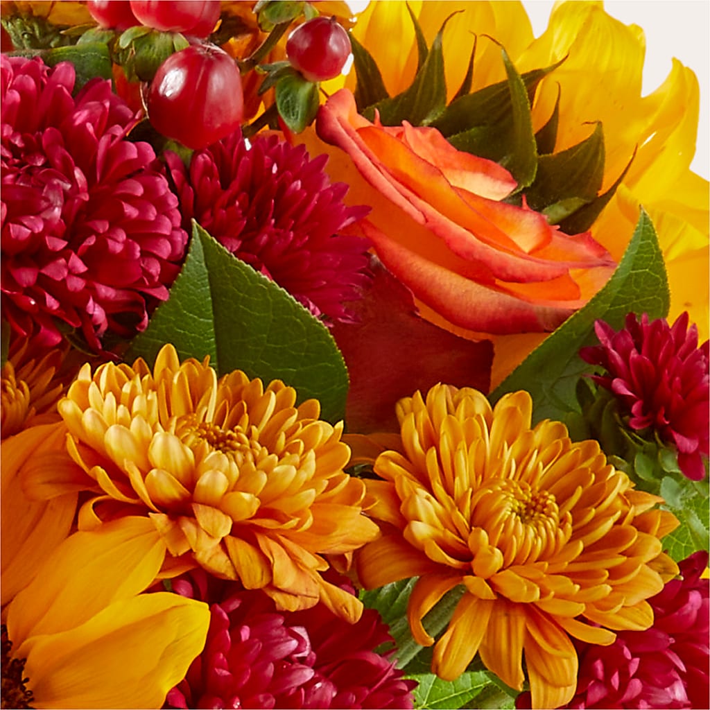 Sweater Season - A Florist Original – EAST MAIN GARDENS FLRST & GREENHSES INC, Niles MI