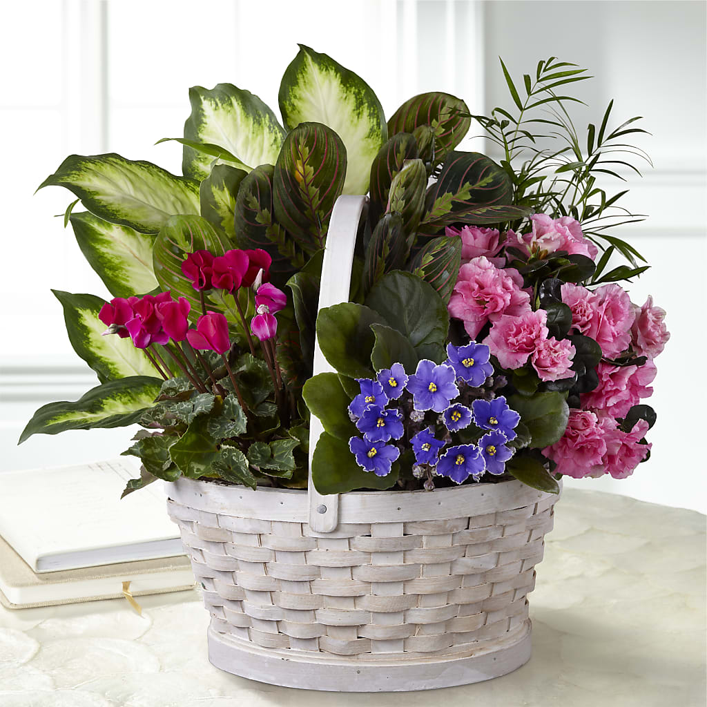 Peaceful Garden Planter – EAST MAIN GARDENS FLRST & GREENHSES INC, Niles MI