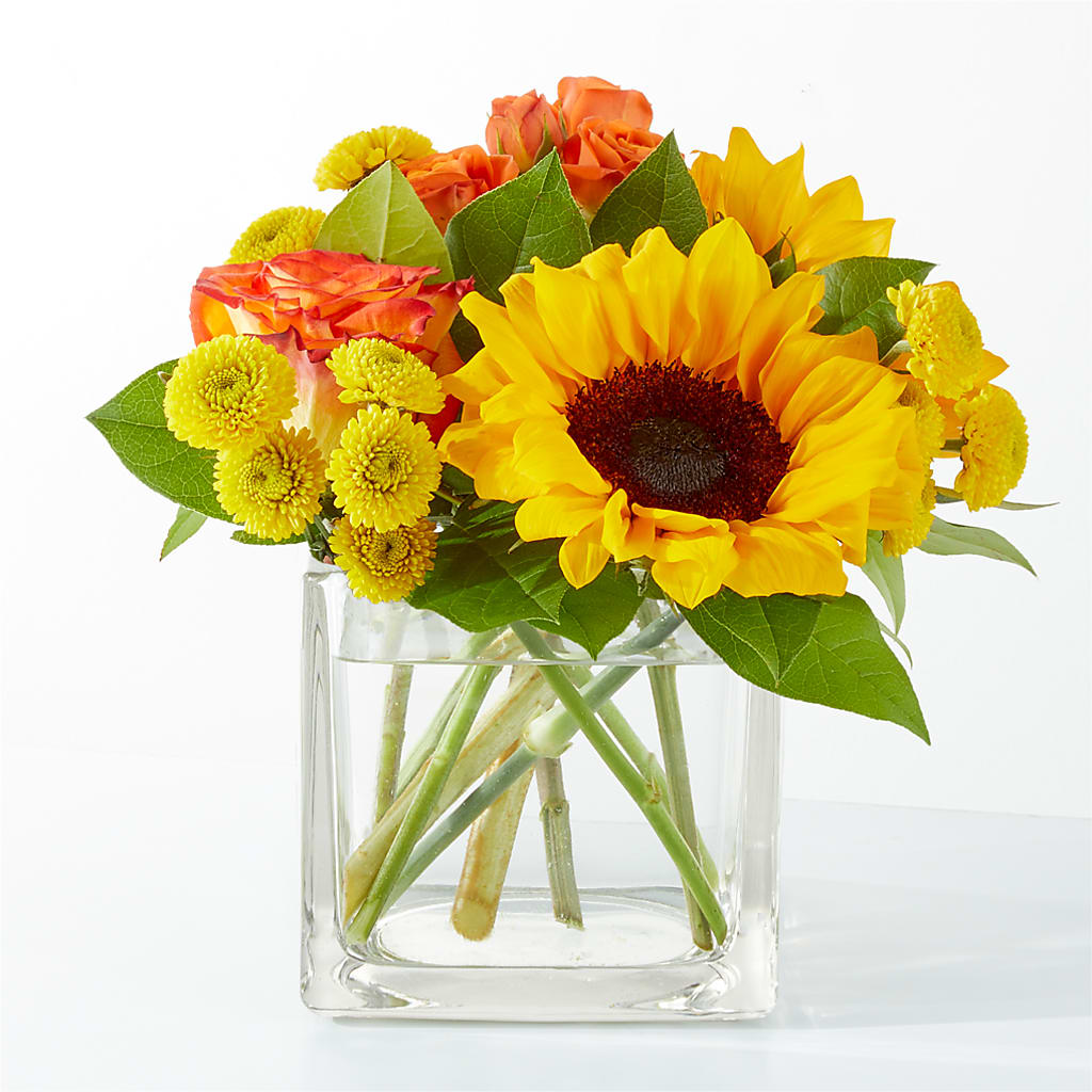 Picnic in the Park Bouquet – EAST MAIN GARDENS FLRST & GREENHSES INC, Niles MI