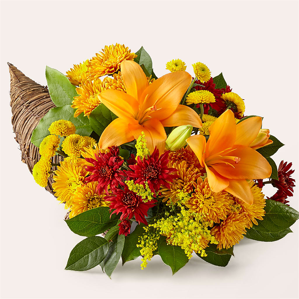 Feast of Color Cornucopia – EAST MAIN GARDENS FLRST & GREENHSES INC, Niles MI