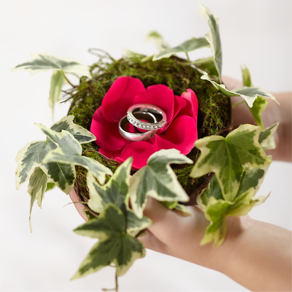 Lila Rose Ring Nest – EAST MAIN GARDENS FLRST & GREENHSES INC, Niles MI