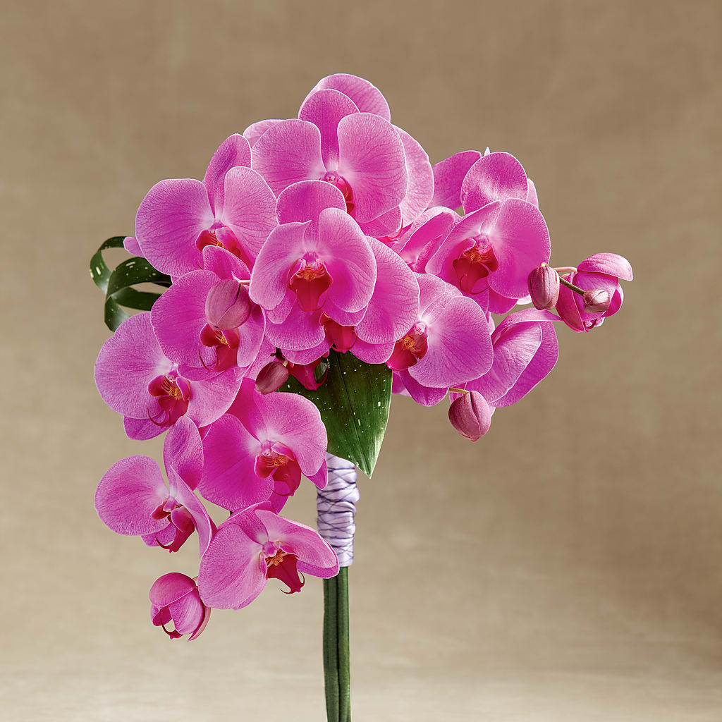 Glorious Bouquet – EAST MAIN GARDENS FLRST & GREENHSES INC, Niles MI