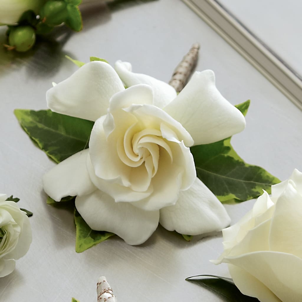 Gardenia Boutonniere – EAST MAIN GARDENS FLRST & GREENHSES INC, Niles MI