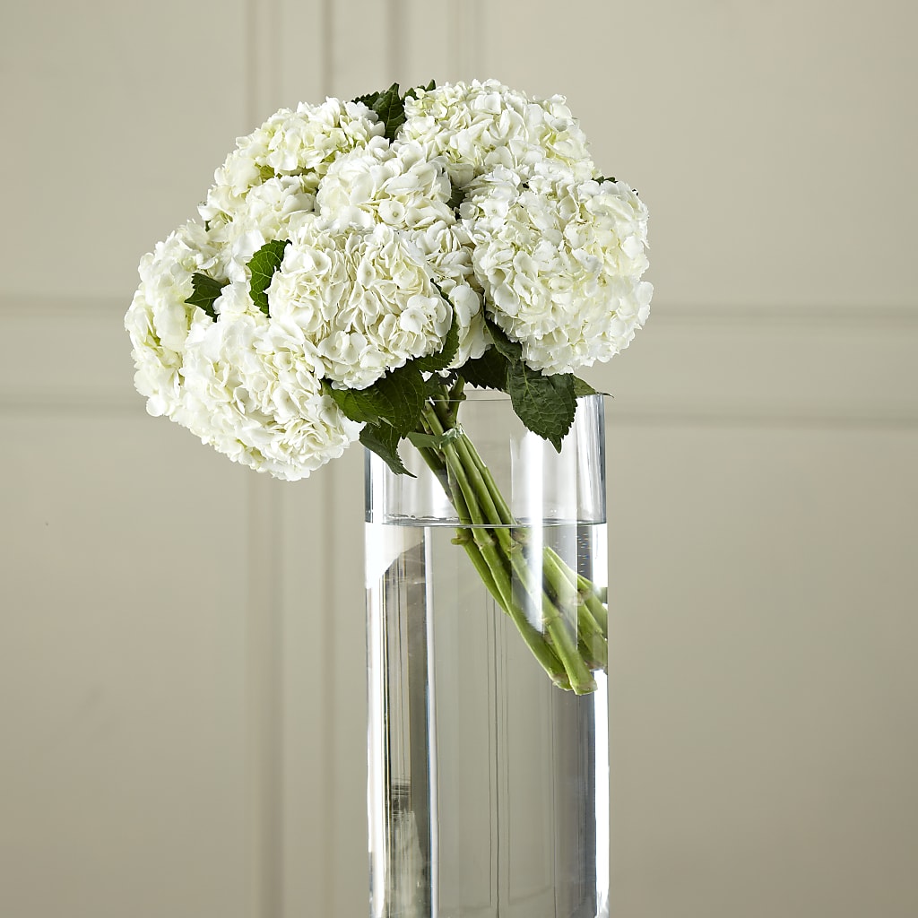 White Hydrangea Hand-Tied Bouquet – EAST MAIN GARDENS FLRST & GREENHSES INC, Niles MI