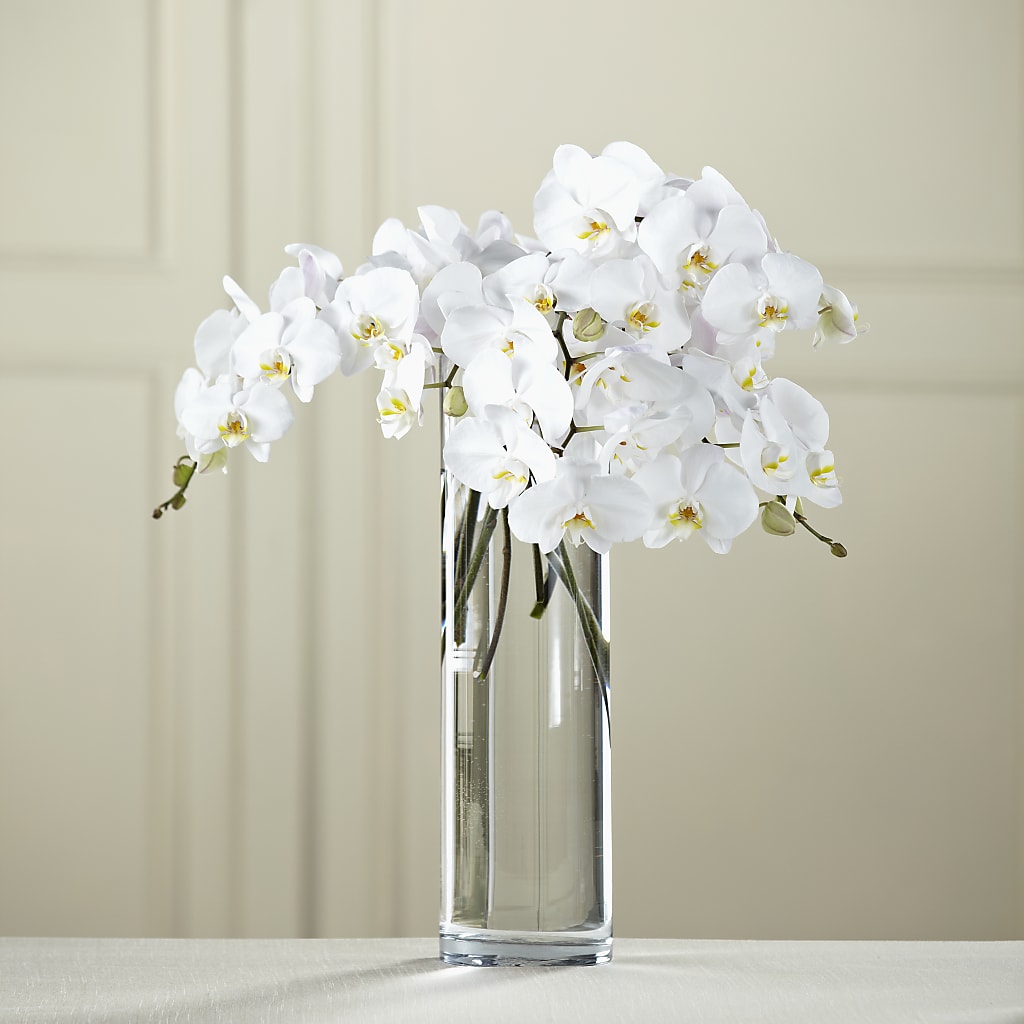 White Phalaenopsis Bouquet – EAST MAIN GARDENS FLRST & GREENHSES INC, Niles MI