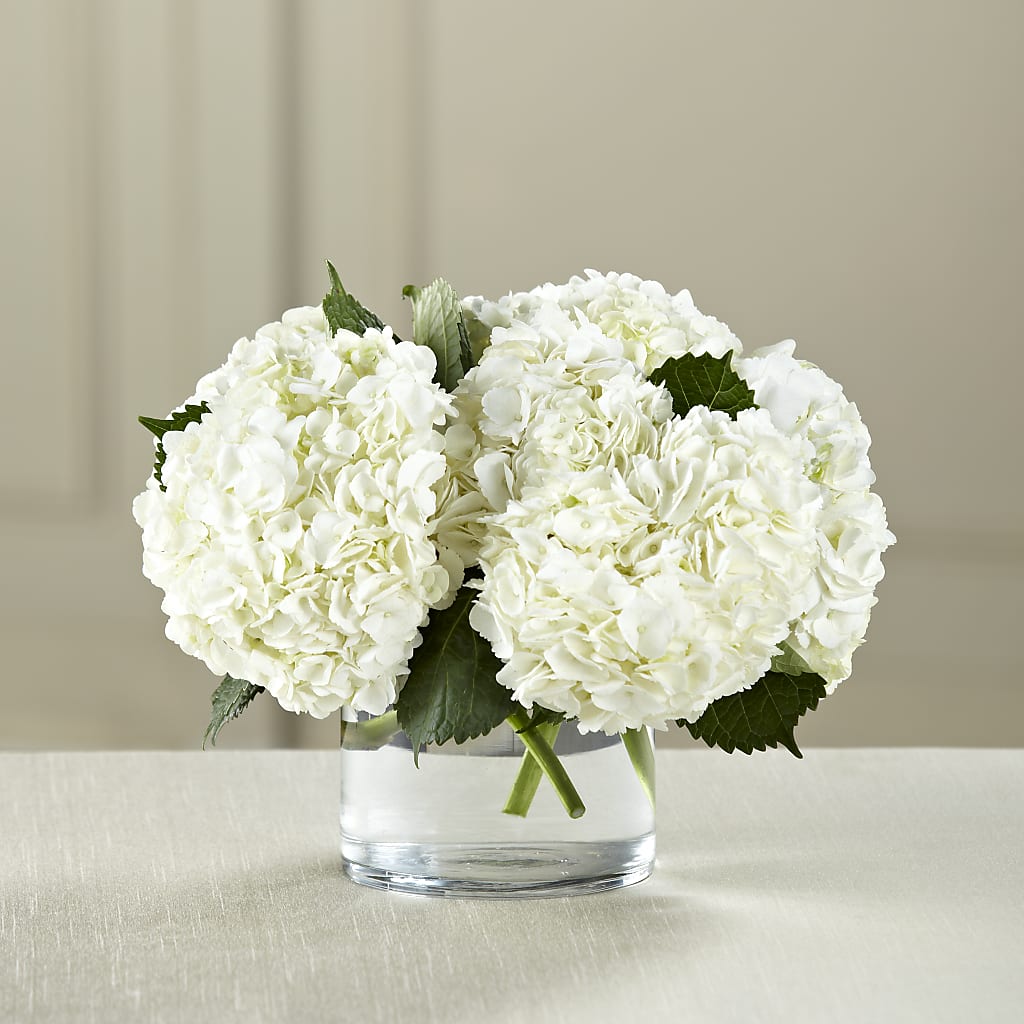 White Hydrangea Bouquet – EAST MAIN GARDENS FLRST & GREENHSES INC, Niles MI