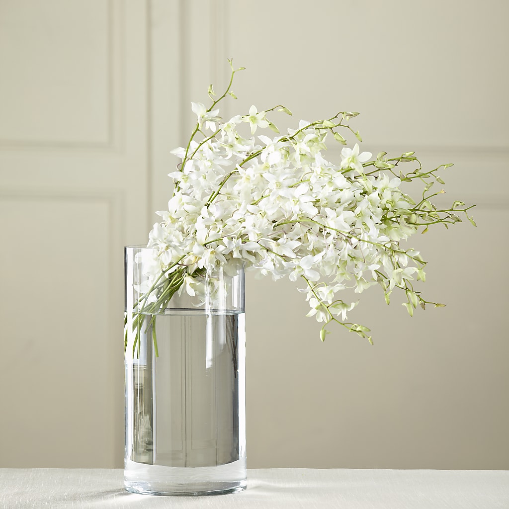 White Dendrobium Bouquet – EAST MAIN GARDENS FLRST & GREENHSES INC, Niles MI