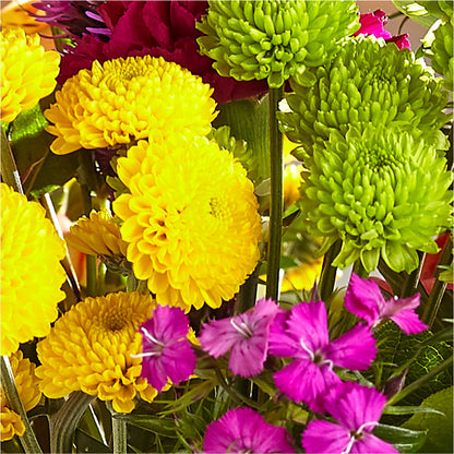 Bold & Bright – A Florist Original – EAST MAIN GARDENS FLRST & GREENHSES INC, Niles MI