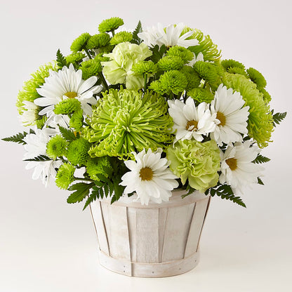 Lucky Charm Basket (Standard) – EAST MAIN GARDENS FLRST & GREENHSES INC, Niles MI