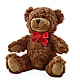 Adorable Plush Bear – EAST MAIN GARDENS FLRST & GREENHSES INC, Niles MI