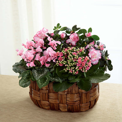 Pink Assortment – EAST MAIN GARDENS FLRST & GREENHSES INC, Niles MI
