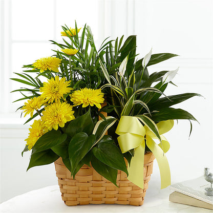 Loving Light Dishgarden – EAST MAIN GARDENS FLRST & GREENHSES INC, Niles MI