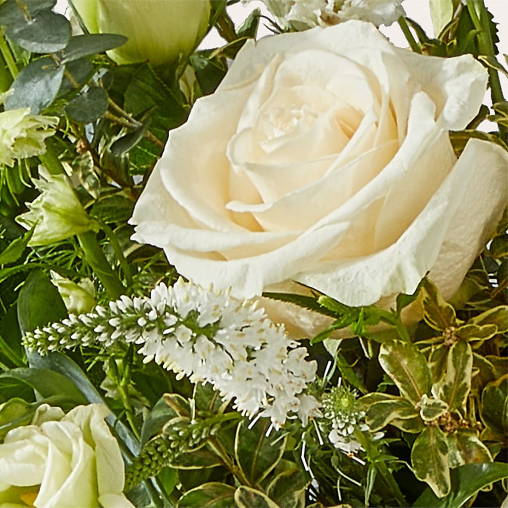 Cashmere Bouquet – EAST MAIN GARDENS FLRST & GREENHSES INC, Niles MI