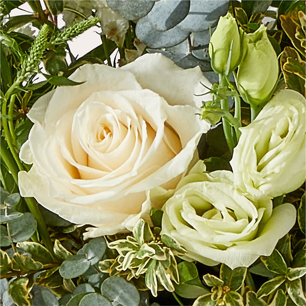 Cashmere Bouquet – EAST MAIN GARDENS FLRST & GREENHSES INC, Niles MI