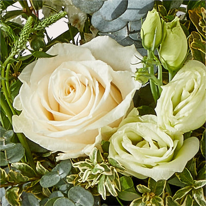 Cashmere Bouquet – EAST MAIN GARDENS FLRST & GREENHSES INC, Niles MI