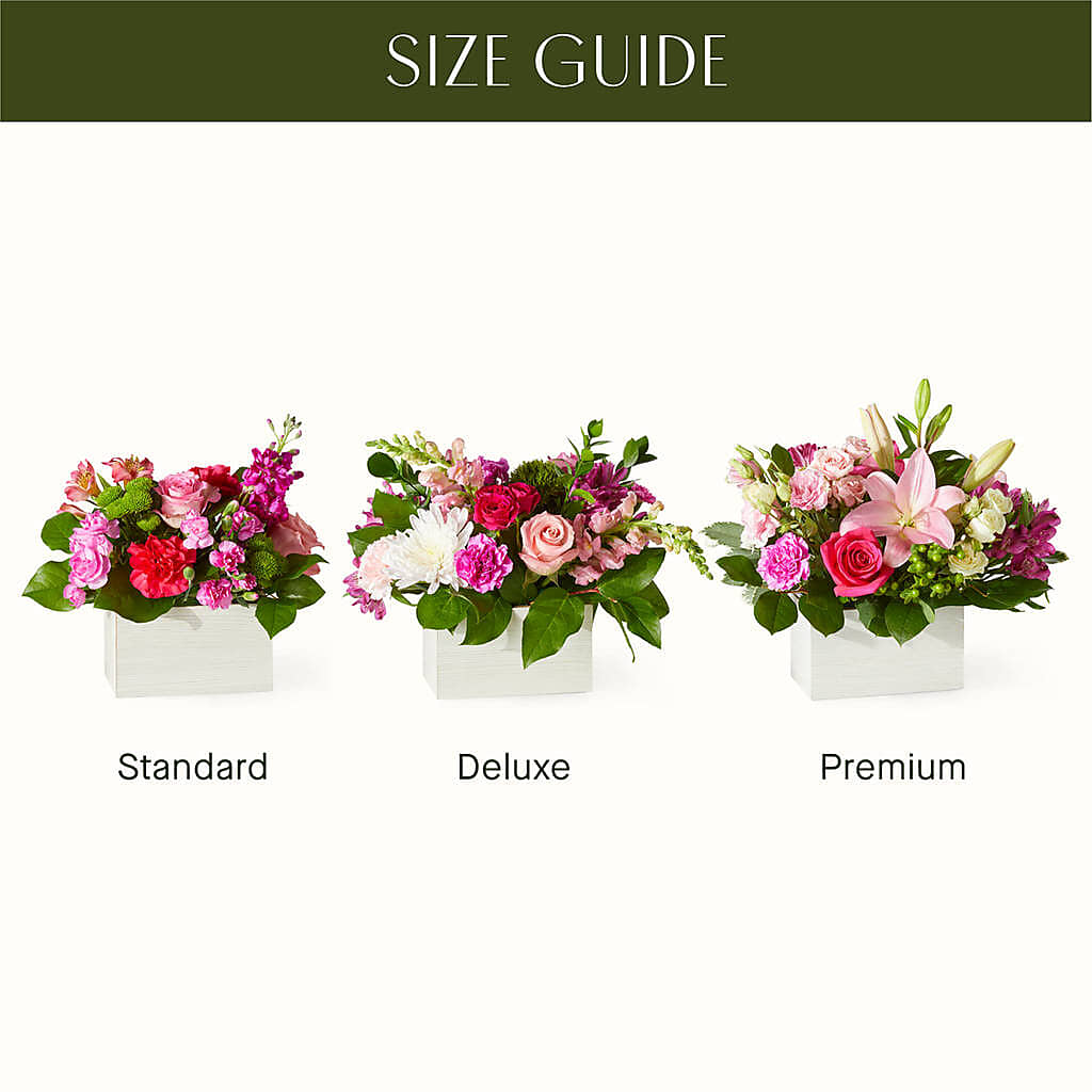 Sweetberry Box – A Florist Original – EAST MAIN GARDENS FLRST & GREENHSES INC, Niles MI