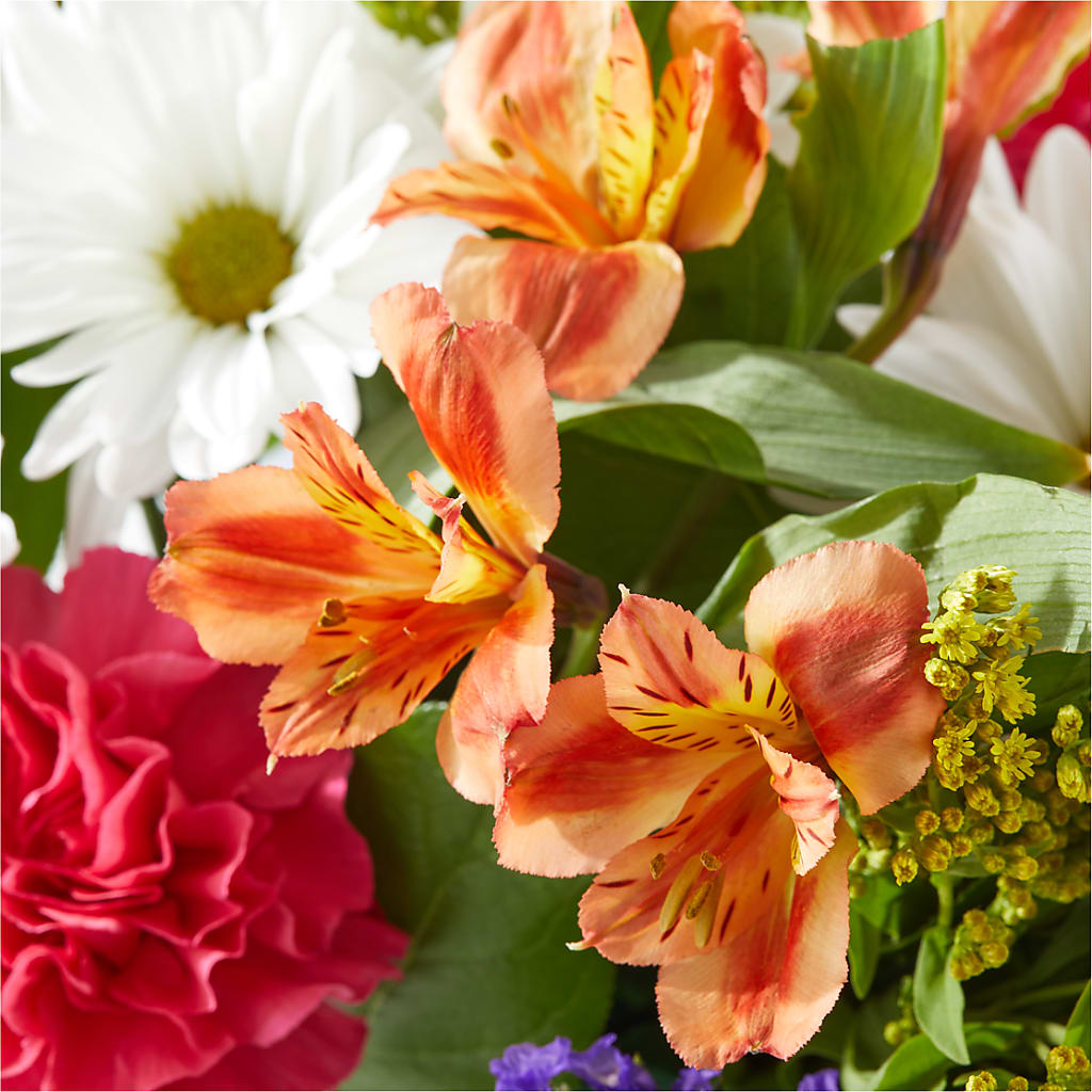 Oopsie Daisy Box Bouquet – EAST MAIN GARDENS FLRST & GREENHSES INC, Niles MI