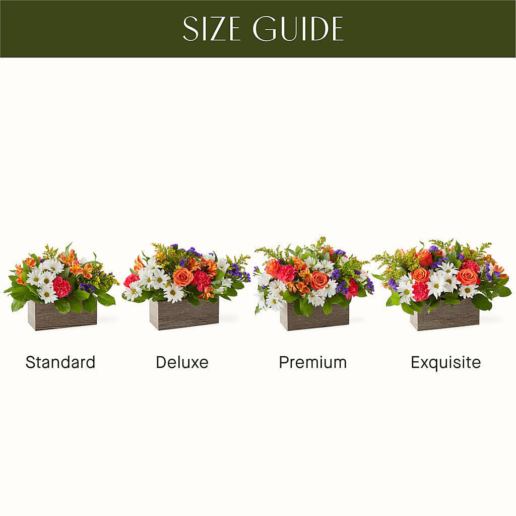 Oopsie Daisy Box Bouquet – EAST MAIN GARDENS FLRST & GREENHSES INC, Niles MI