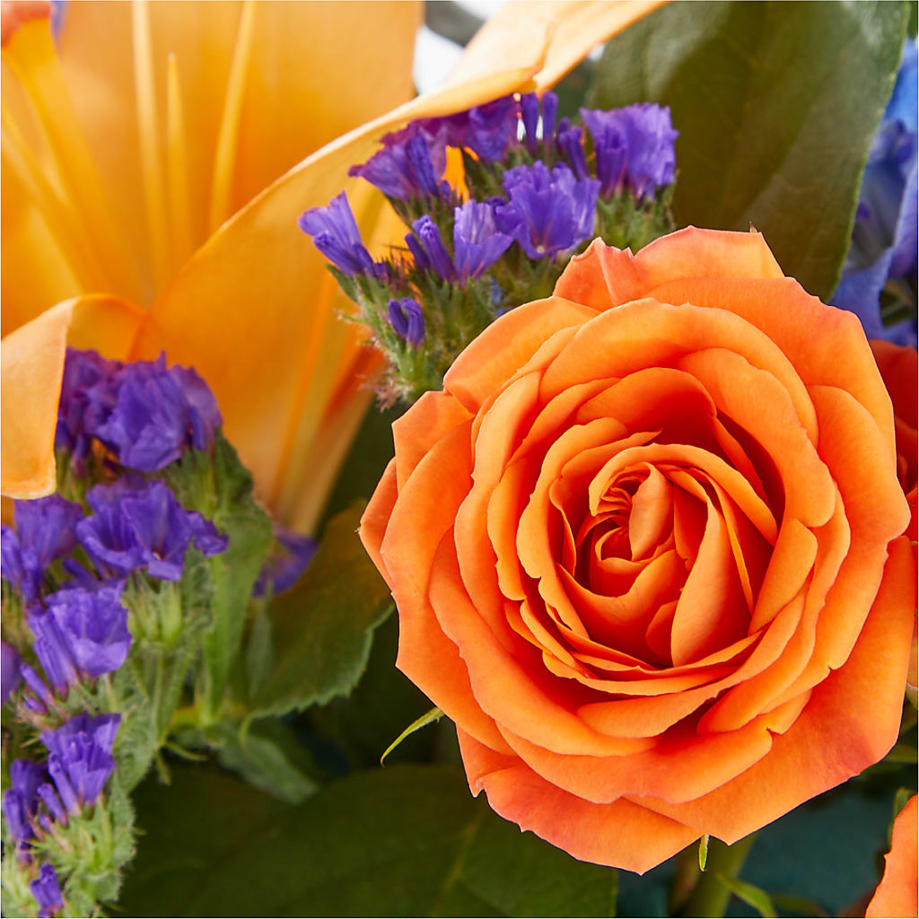 Radiant Citrus Box Bouquet – EAST MAIN GARDENS FLRST & GREENHSES INC, Niles MI