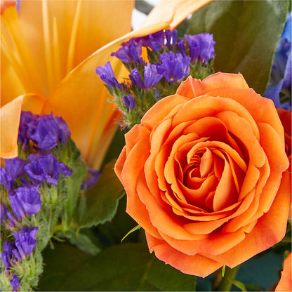 Radiant Citrus Box Bouquet – EAST MAIN GARDENS FLRST & GREENHSES INC, Niles MI