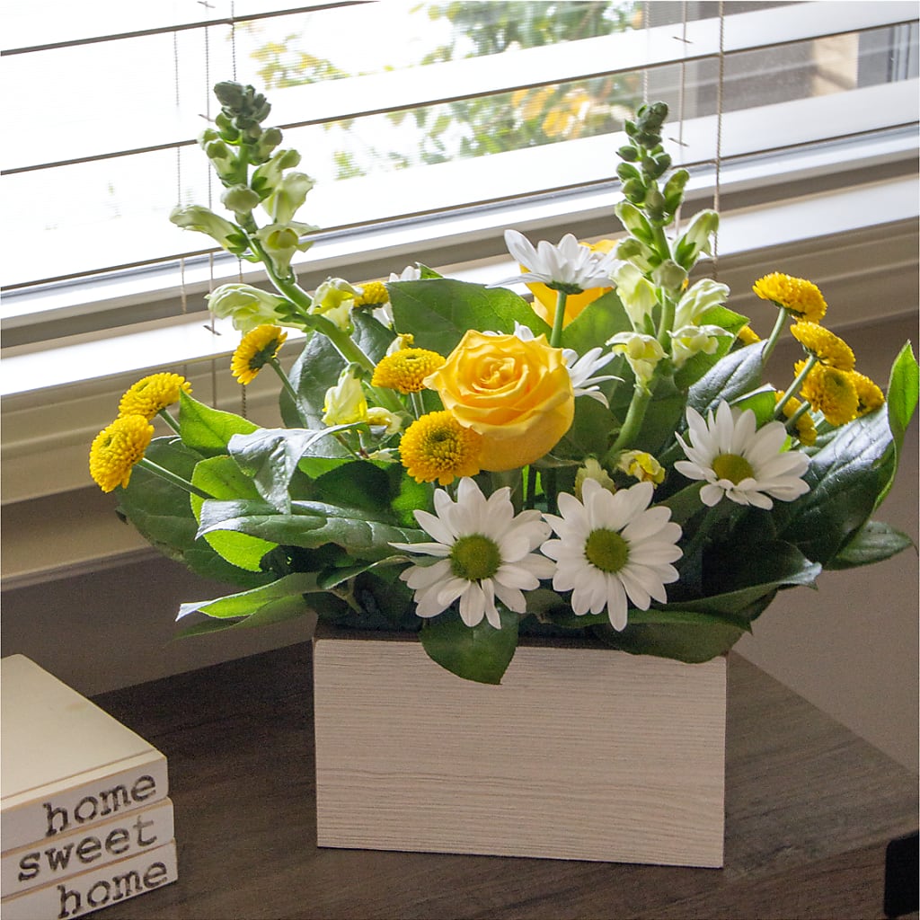 Sun Salutation Box Bouquet – EAST MAIN GARDENS FLRST & GREENHSES INC, Niles MI