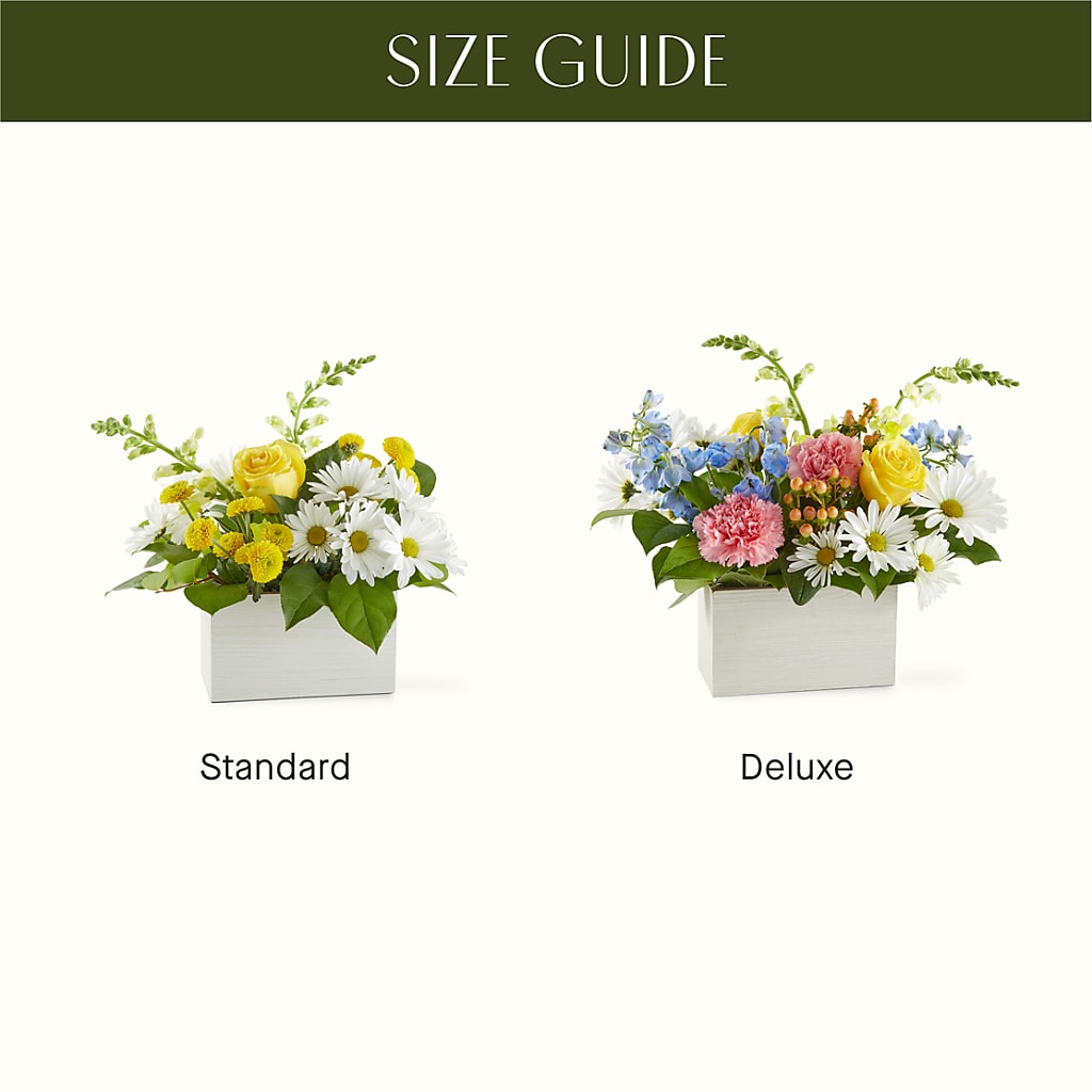 Sun Salutation Box Bouquet – EAST MAIN GARDENS FLRST & GREENHSES INC, Niles MI