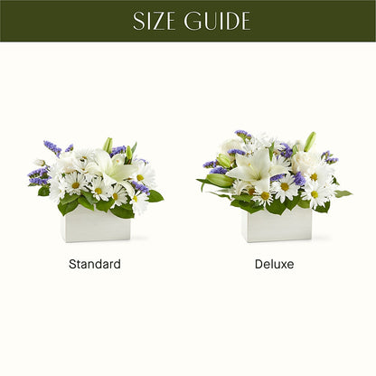 Beyond Blue Box Bouquet – EAST MAIN GARDENS FLRST & GREENHSES INC, Niles MI