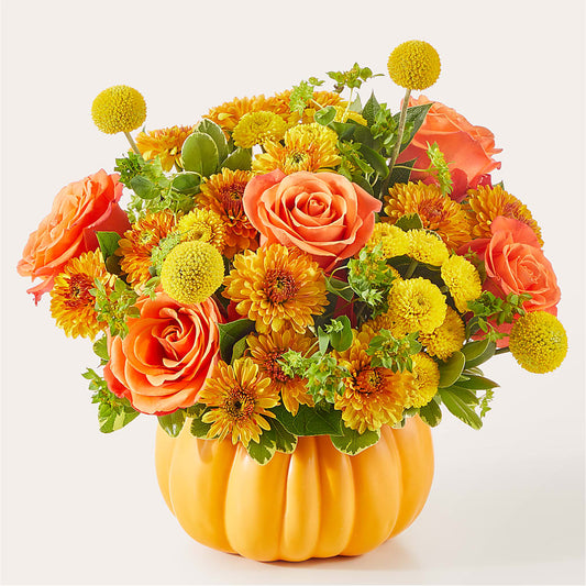 Gourdgeous Pumpkin – EAST MAIN GARDENS FLRST & GREENHSES INC, Niles MI