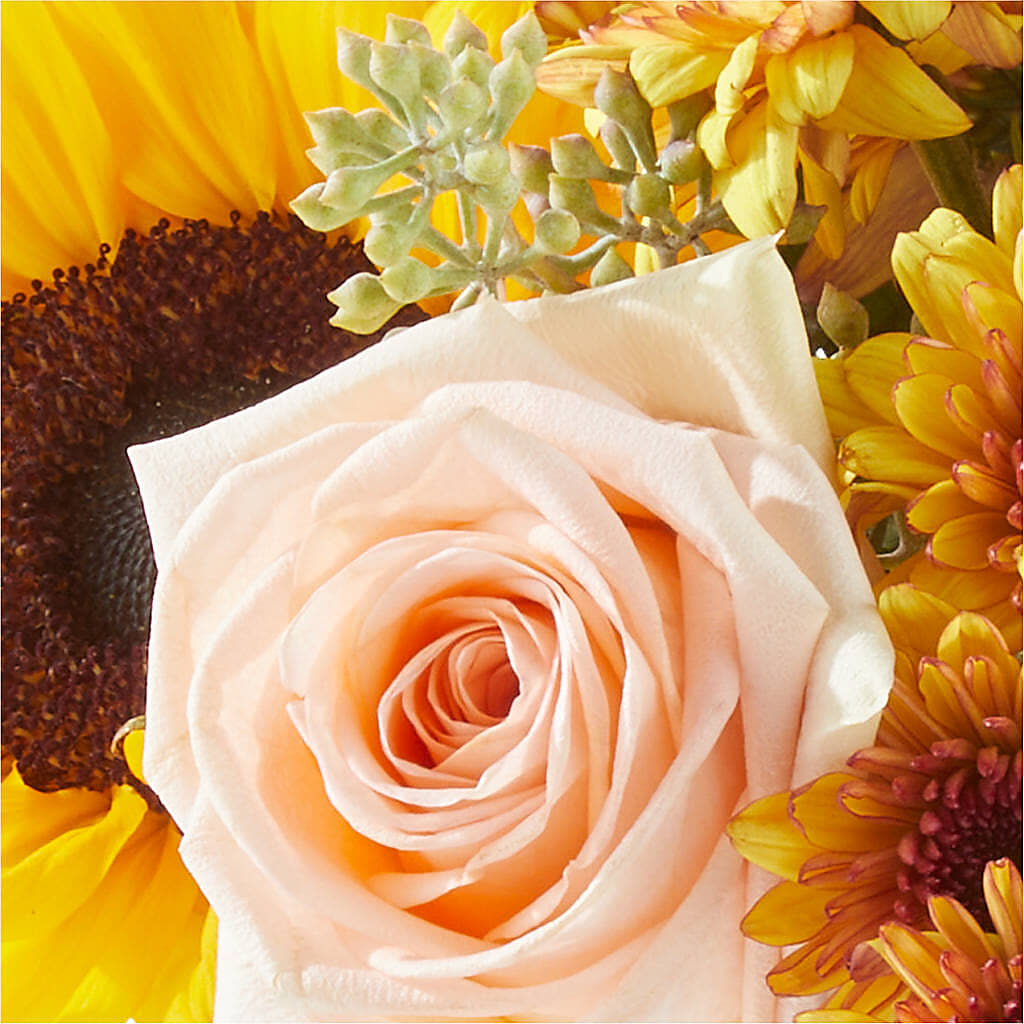 Pumpkin to Talk About Bouquet – EAST MAIN GARDENS FLRST & GREENHSES INC, Niles MI