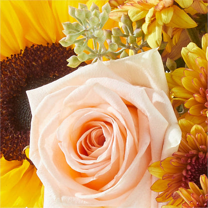 Pumpkin to Talk About Bouquet – EAST MAIN GARDENS FLRST & GREENHSES INC, Niles MI