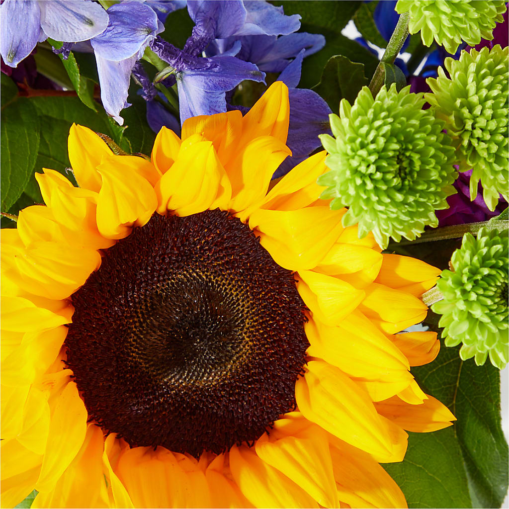 Catching Rays Bouquet – EAST MAIN GARDENS FLRST & GREENHSES INC, Niles MI