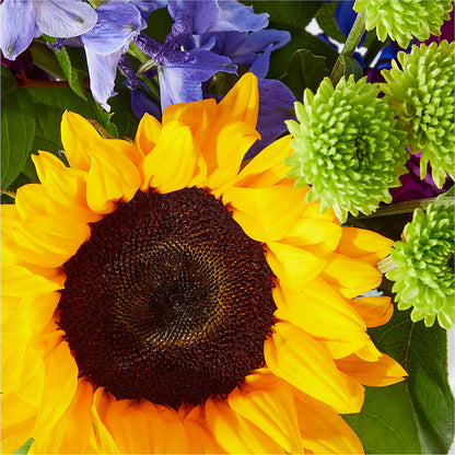 Catching Rays Bouquet – EAST MAIN GARDENS FLRST & GREENHSES INC, Niles MI
