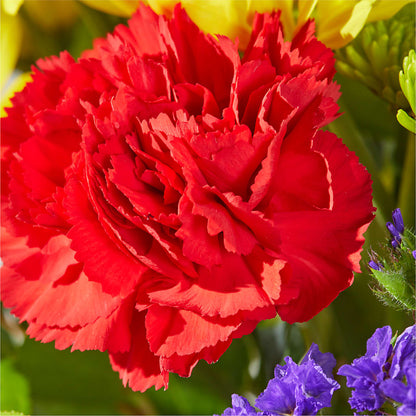 Brighter Days Bouquet – EAST MAIN GARDENS FLRST & GREENHSES INC, Niles MI