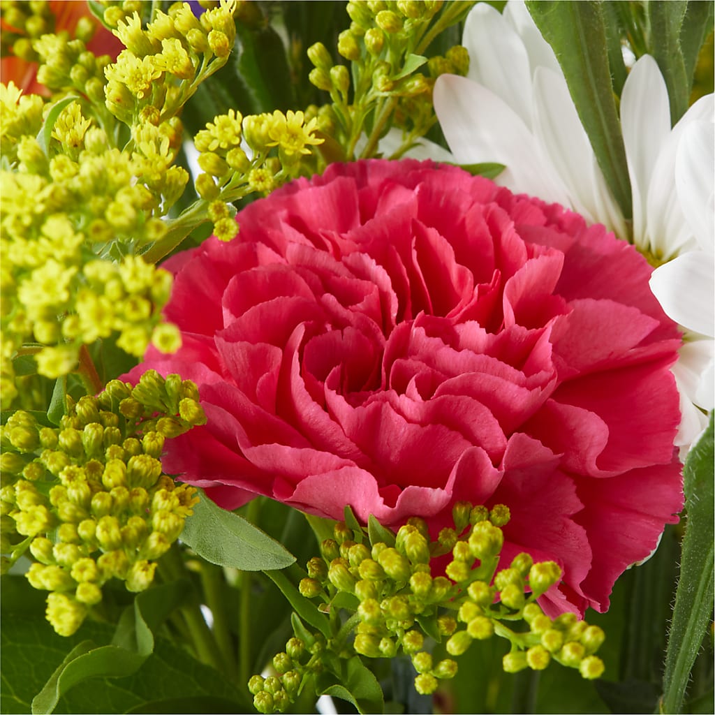 Oopsie Daisy Bouquet – EAST MAIN GARDENS FLRST & GREENHSES INC, Niles MI