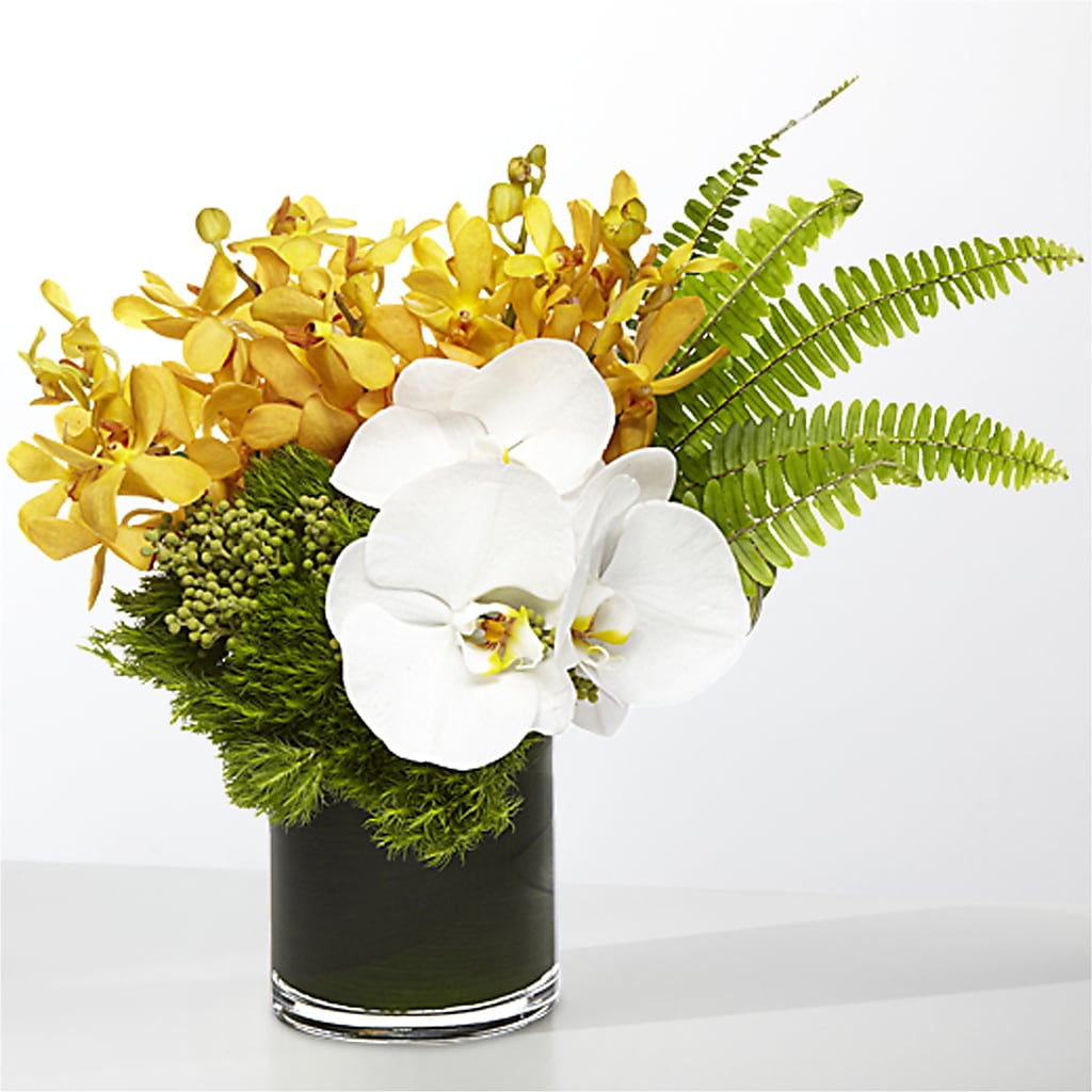 The Tropics – EAST MAIN GARDENS FLRST & GREENHSES INC, Niles MI