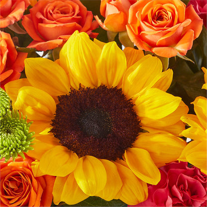 Sun-drenched Blooms Box Bouquet – EAST MAIN GARDENS FLRST & GREENHSES INC, Niles MI