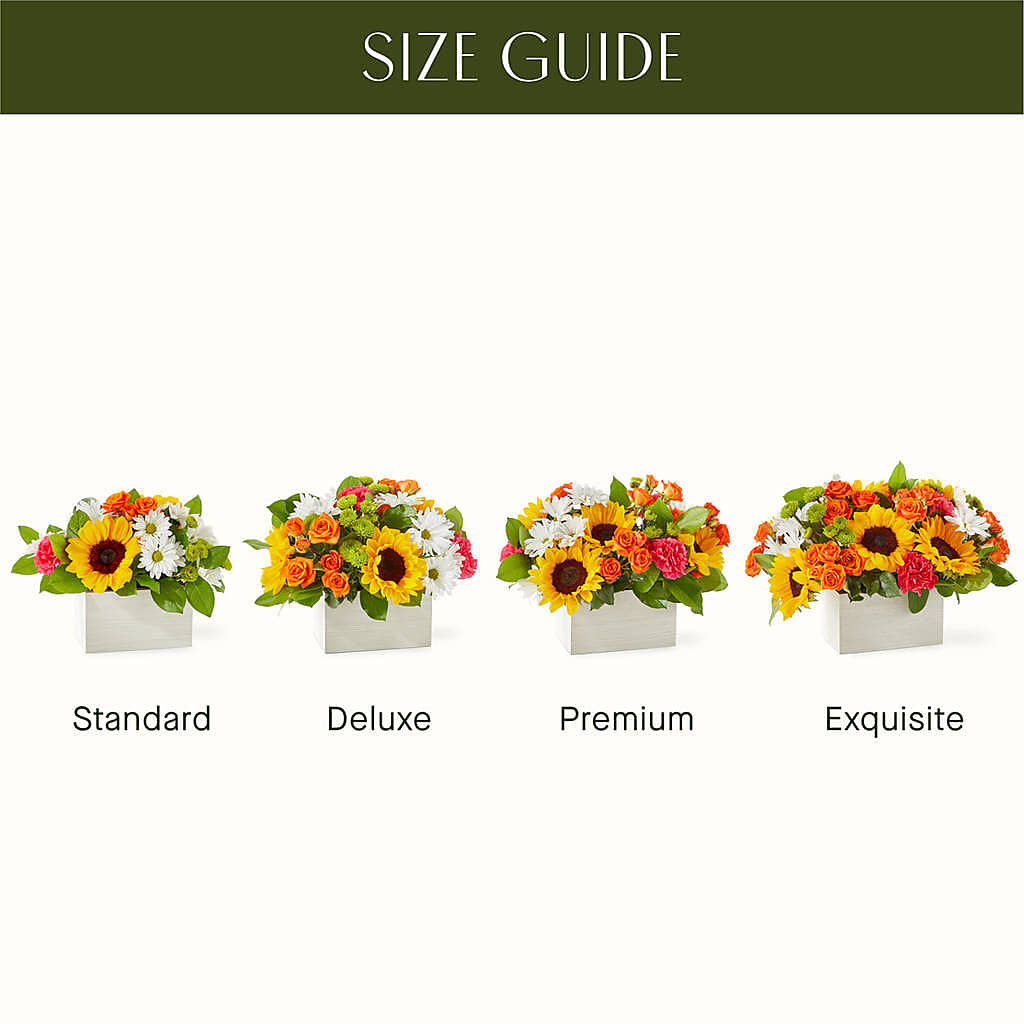 Sun-drenched Blooms Box Bouquet – EAST MAIN GARDENS FLRST & GREENHSES INC, Niles MI