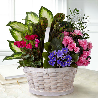 Peaceful Garden Planter – EAST MAIN GARDENS FLRST & GREENHSES INC, Niles MI