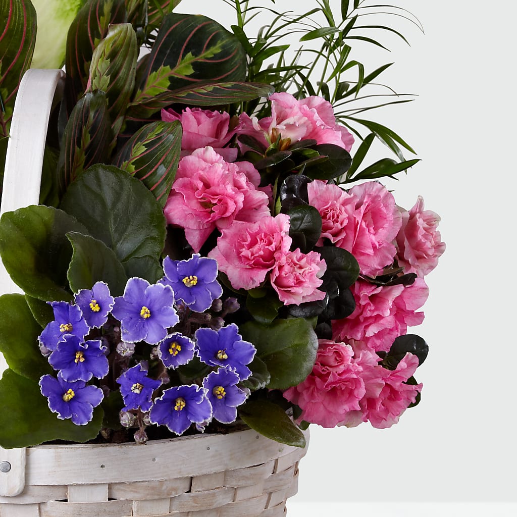 Peaceful Garden Planter – EAST MAIN GARDENS FLRST & GREENHSES INC, Niles MI