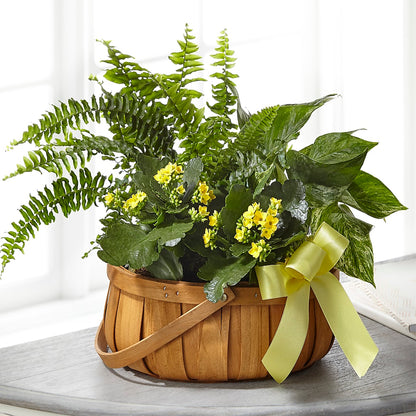 Always Dear Dishgarden – EAST MAIN GARDENS FLRST & GREENHSES INC, Niles MI