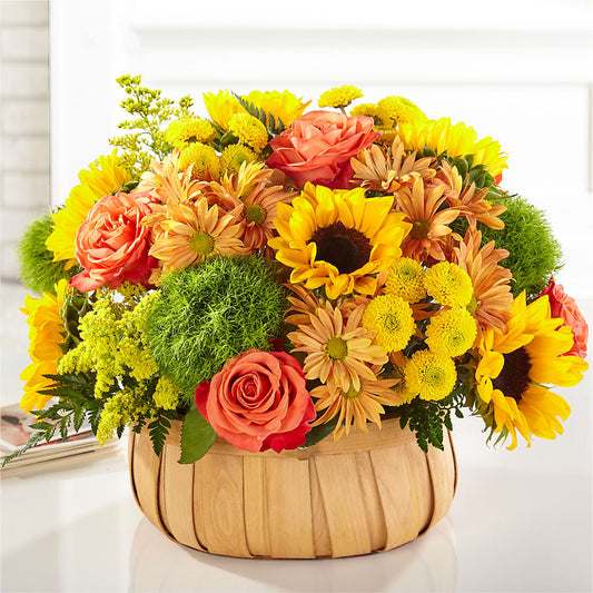 Harvest Sunflower Basket – EAST MAIN GARDENS FLRST & GREENHSES INC, Niles MI