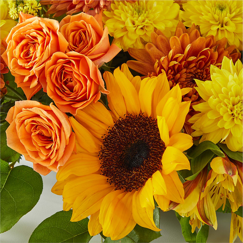 Autumn Harmony Centerpiece – EAST MAIN GARDENS FLRST & GREENHSES INC, Niles MI