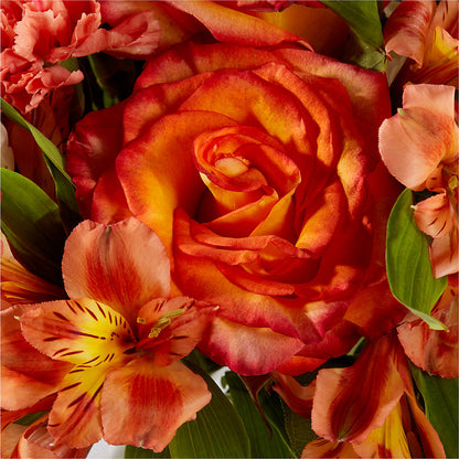 Apricot Glow Bouquet – EAST MAIN GARDENS FLRST & GREENHSES INC, Niles MI
